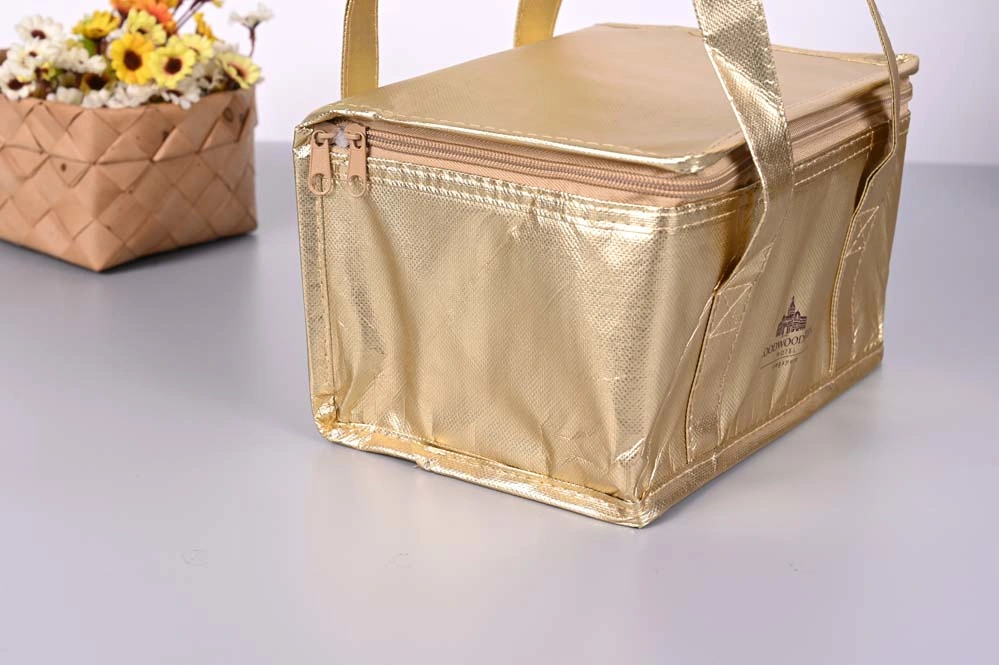 Custom Logo Portable Picnic Insulation Bag Cooler Lunch Thermal Bag